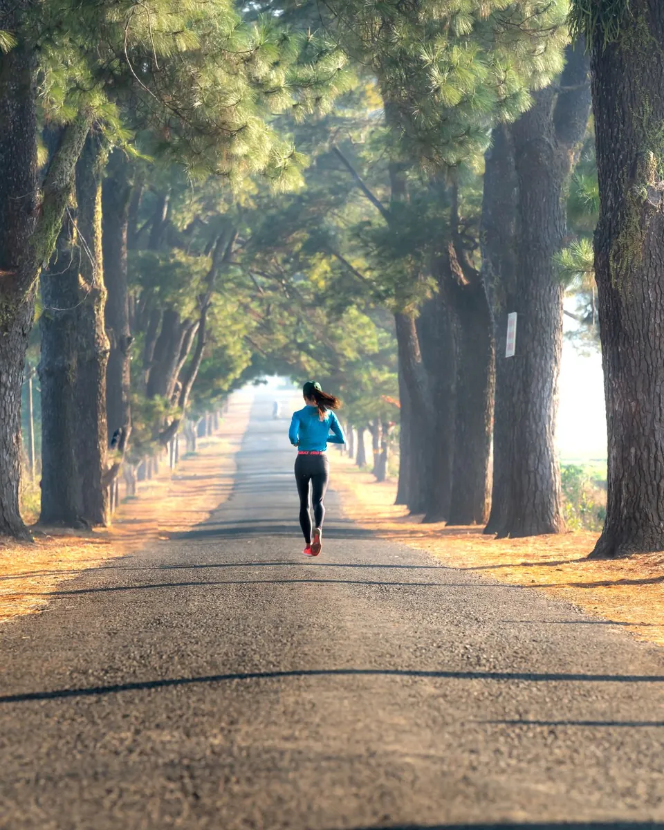 Runner on a tree-lined road in the morning